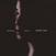 Hanglemez Janis Ian - Breaking Silence (LP)