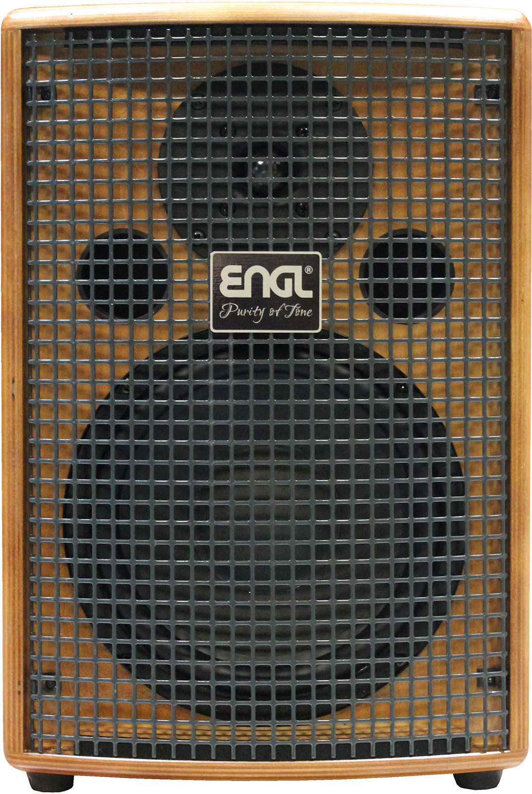 Combo for Acoustic-electric Guitar Engl A101