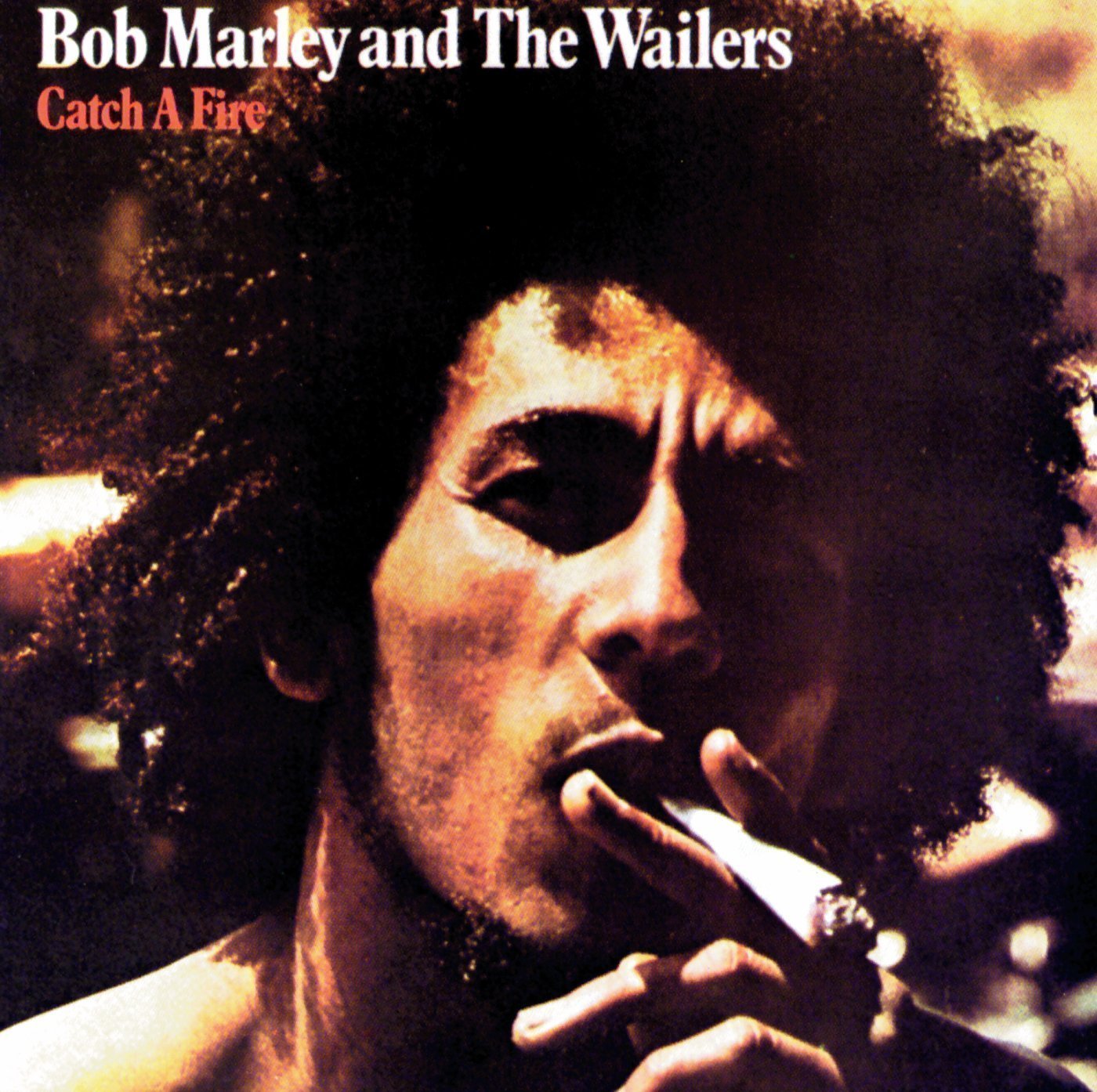 Vinyl Record Bob Marley & The Wailers - Catch A Fire (LP)