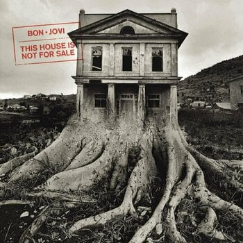 Vinylskiva Bon Jovi - This House Is Not For Sale (LP) - 1