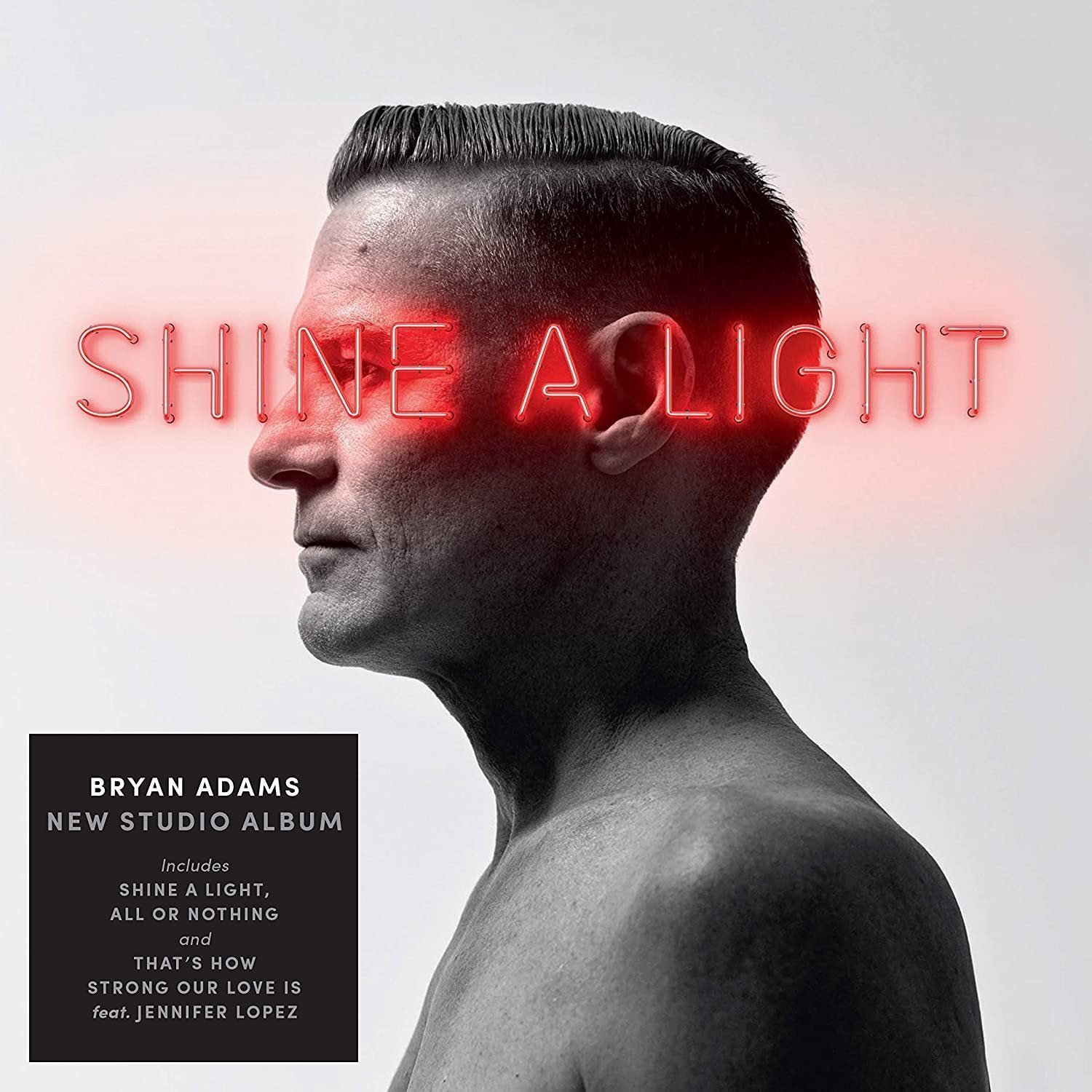 Disque vinyle Bryan Adams - Shine A Light (LP)