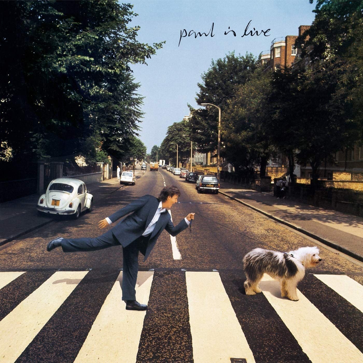 Vinylskiva Paul McCartney - Paul Is Live (2 LP)