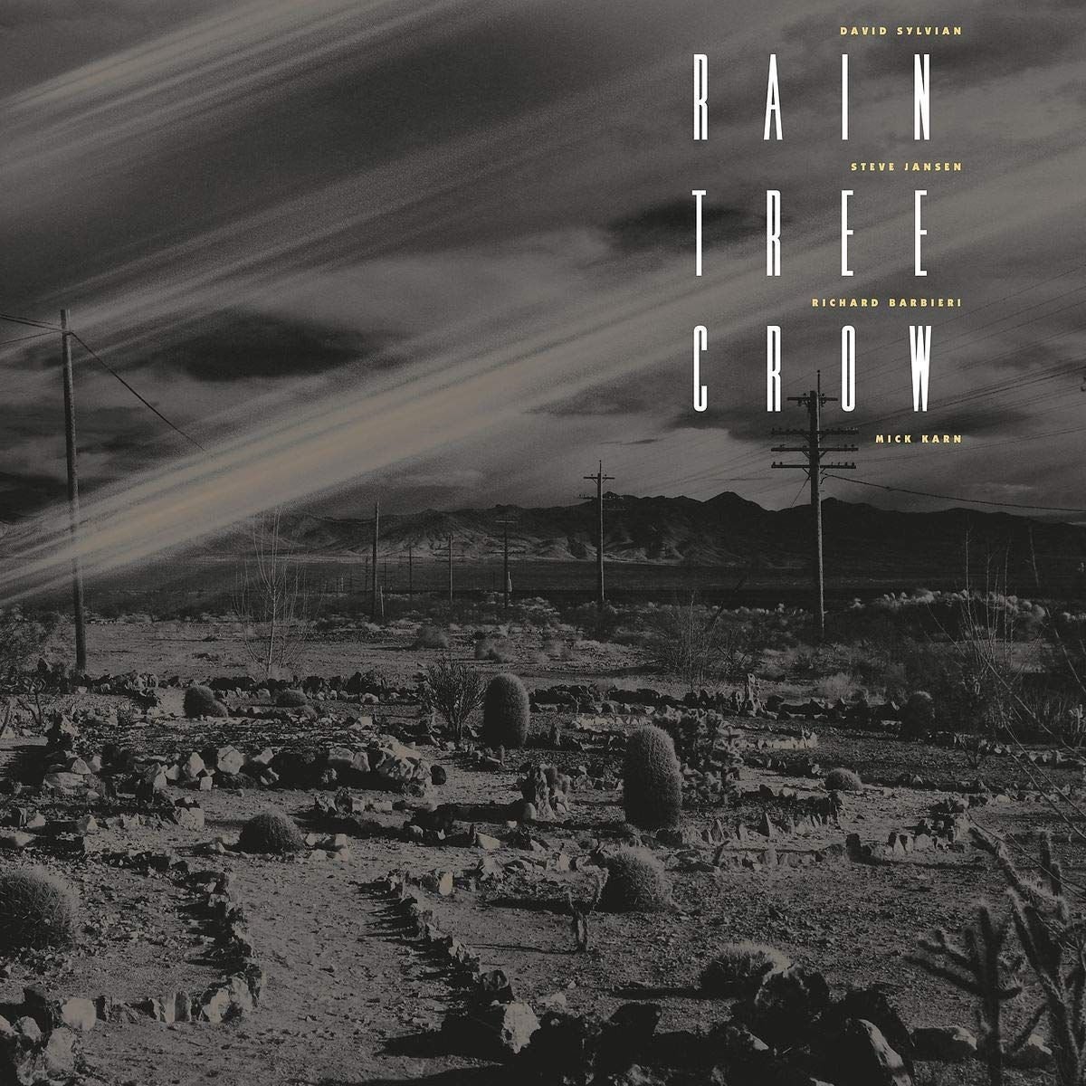 Disco de vinil Rain Tree Crow - Rain Tree Crow (LP)