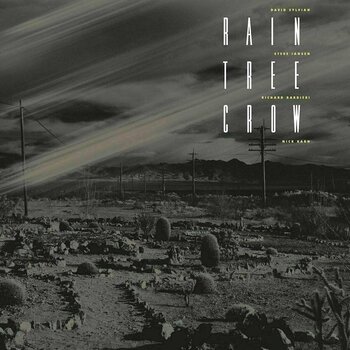Vinyylilevy Rain Tree Crow - Rain Tree Crow (LP) - 1