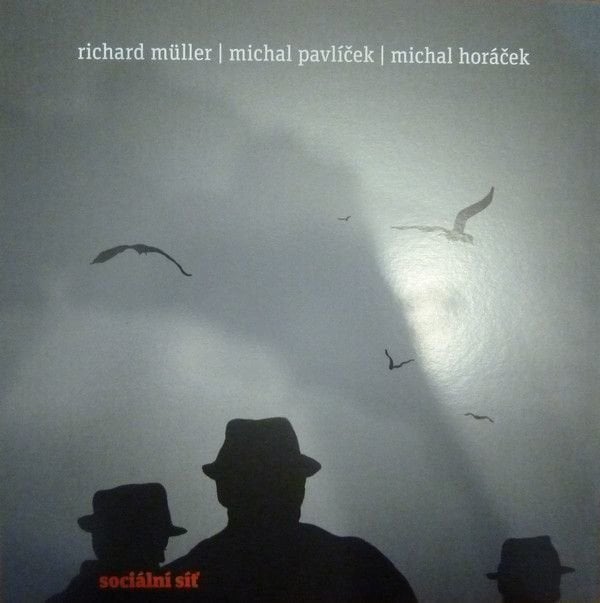 Vinylskiva Richard Müller - Socialní síť (LP)