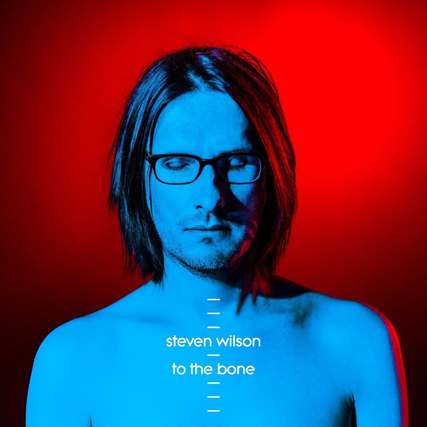 Disco de vinilo Steven Wilson - To The Bone (2 LP)