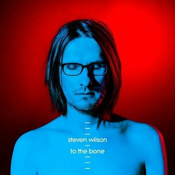 Schallplatte Steven Wilson - To The Bone (2 LP) - 1