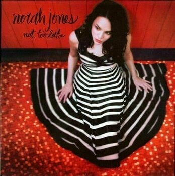 Vinyylilevy Norah Jones - Not Too Late (LP) - 1