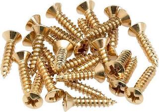 Vedrud, kruvid Fender Pickguard/Control Plate Mounting Screws Gold 24 Pack