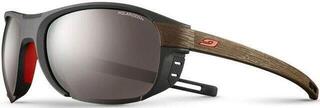 Julbo Regatta Polarized 3+ Dark Grey/Dark Brown