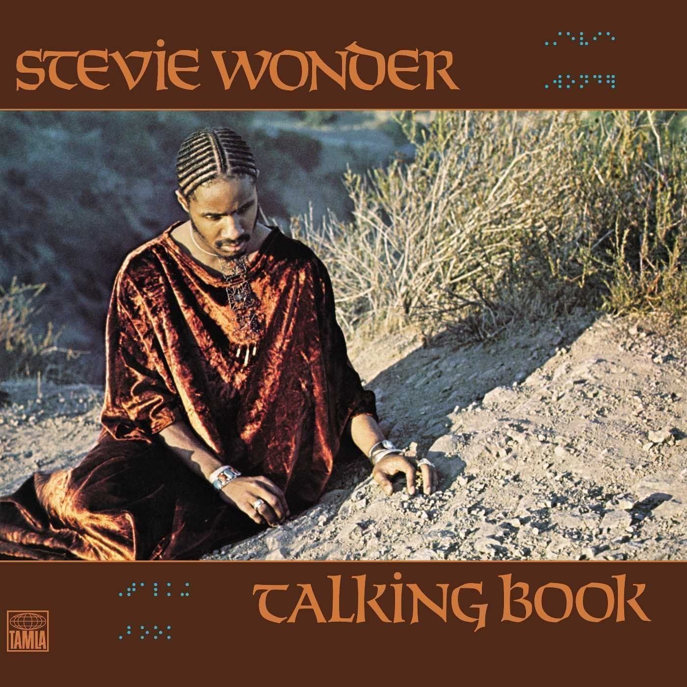 Vinyl Record Stevie Wonder - Talking Book (LP)