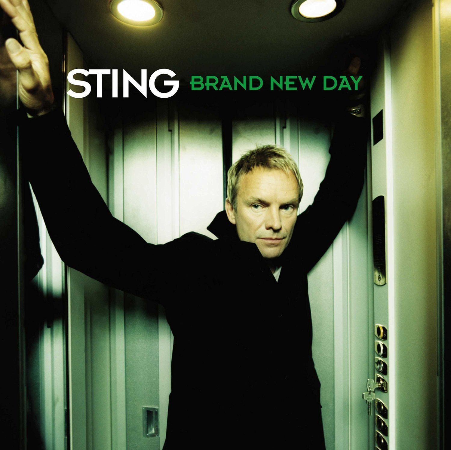 Vinyl Record Sting - Brand New Day (2 LP)
