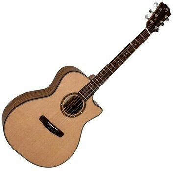 Jumbo Guitar Dowina Marus GAC - 1