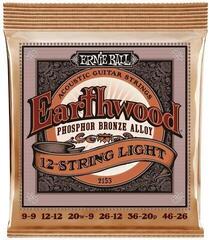 Струни за акустична китара Ernie Ball 2153 Earthwood 12 Струни за акустична китара