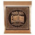 Ernie Ball 2550 Everlast Saiten für Akustikgitarre