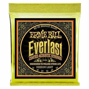 Cordes de guitares acoustiques Ernie Ball 2556 Everlast - 1