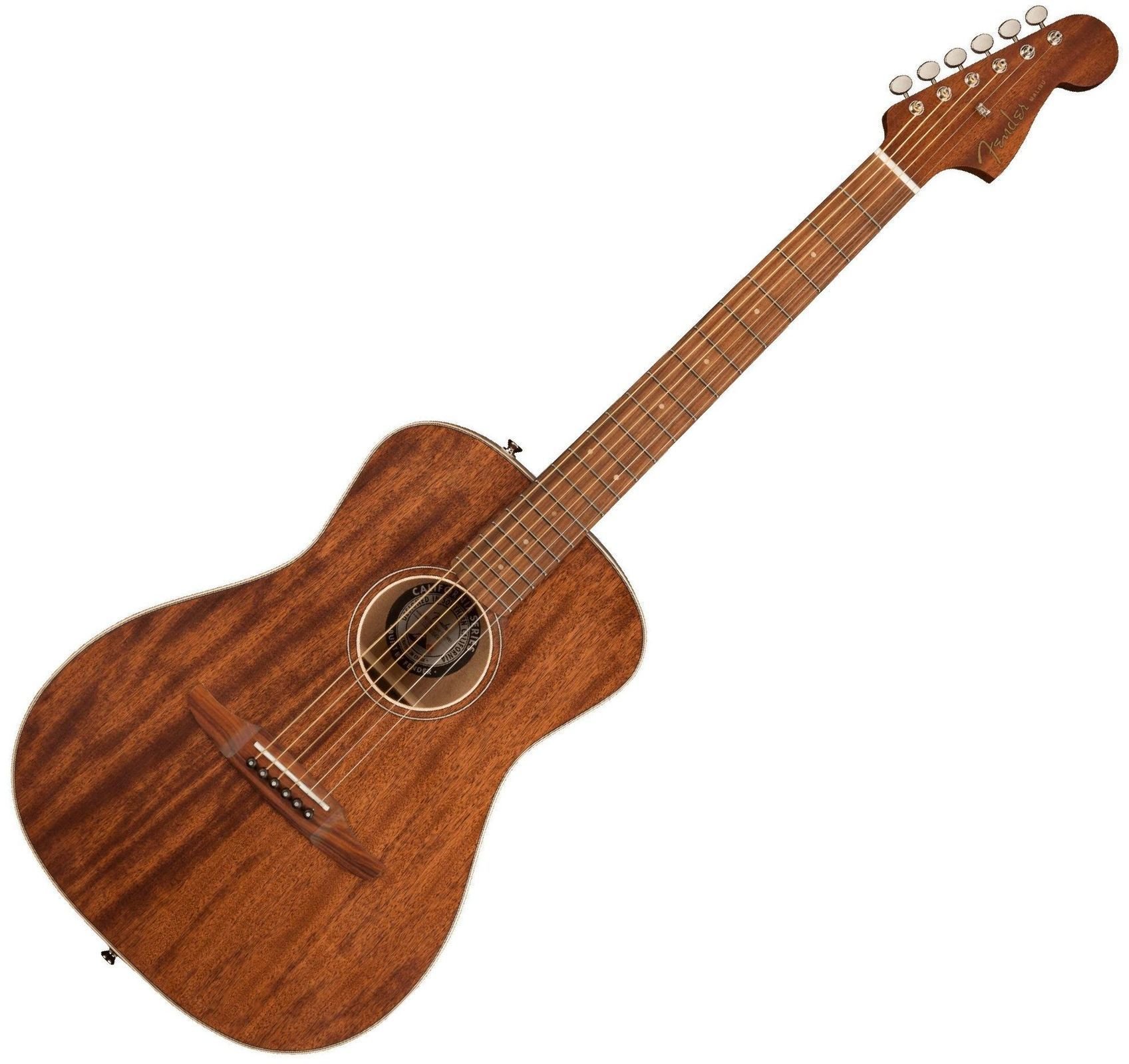 Electro-acoustic guitar Fender Malibu Special PF MAH Natural Satin