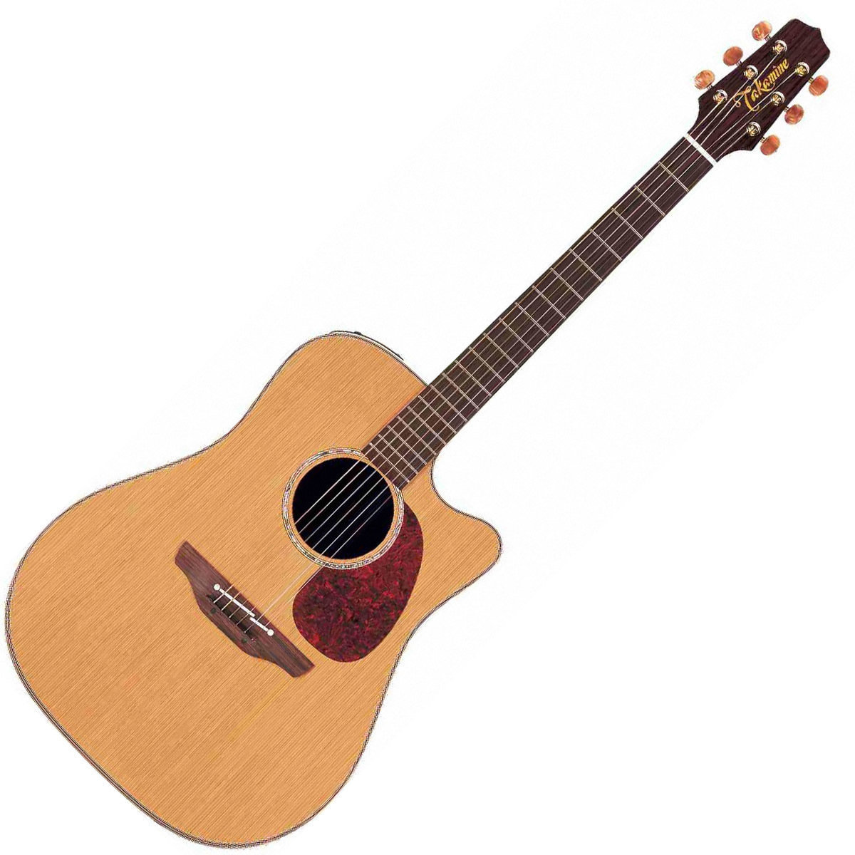 electro-acoustic guitar Takamine TAN 15 C
