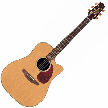 elektroakustisk gitarr Takamine TAN 15 C - 1