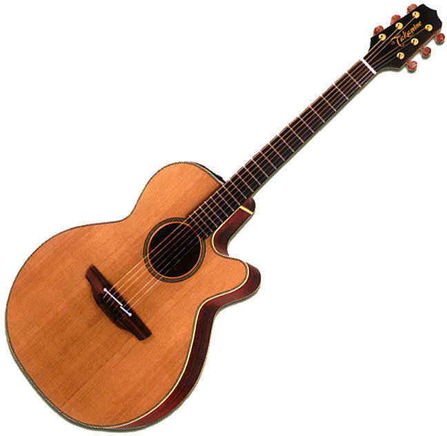 electro-acoustic guitar Takamine EAN 40 C