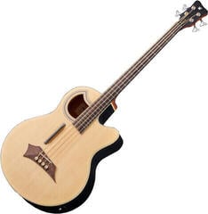 Akustična bas kitara Warwick RockBass Alien Standard FL Natural Akustična bas kitara
