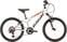 Bicicleta para crianças DEMA Rockie SF White/Red 20" Bicicleta para crianças
