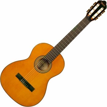 Guitare classique taile 1/2 pour enfant Valencia VC262 1/2 Antique Natural - 1