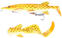 Isca de borracha Savage Gear 3D Hybrid Pike Albino Pike 17 cm 45 g