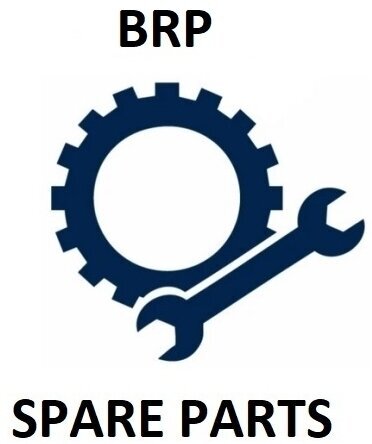 Boat Engine Spare Parts BRP Washer Seal 5030271