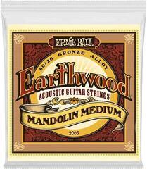 Cordes de mandolines Ernie Ball 2065 Earthwood Mandolin Cordes de mandolines