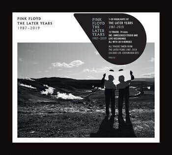 CD диск Pink Floyd - The Best Of The Later Years 1987 - 2019 (CD)