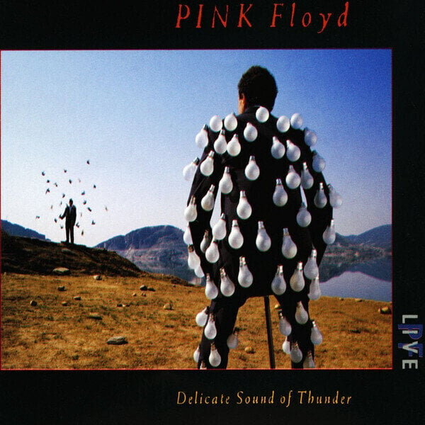 CD musicali Pink Floyd - Delicate Sound Of Thunder (2 CD)