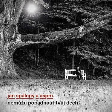 Musiikki-CD Jan Spálený - Nemůžu popadnout tvůj dech (CD)