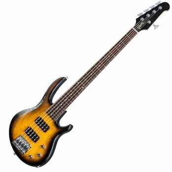 Elektromos basszusgitár Gibson New EB Bass 5 String T 2017 Satin Vintage Sunburst - 1