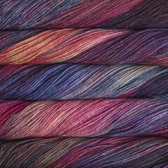 Fire de tricotat Malabrigo Arroyo Aniversario Fire de tricotat