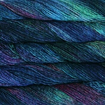 Knitting Yarn Malabrigo Washted 684 Camaleon - 1