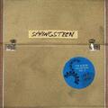 Bruce Springsteen - Album Collection Vol. 2 (Limited Edition) (10 LP)