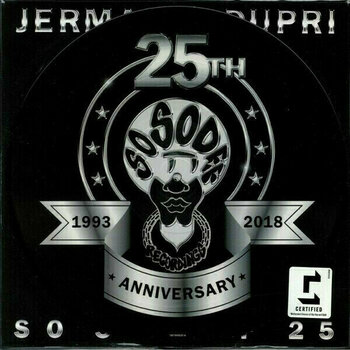 Δίσκος LP Various Artists - So So Def 25 (Picture Disc) (Anniversary Edition) (LP) - 1