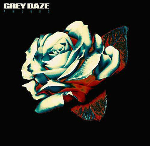 Schallplatte Grey Daze - Amends (LP)