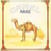LP plošča Camel - Mirage (Remastered) (LP)