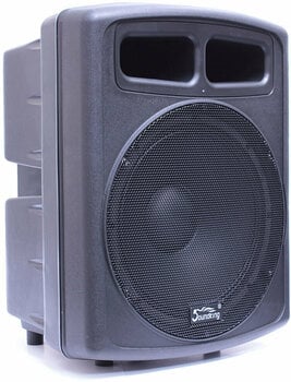 Actieve subwoofer Soundking FP 0115 A - 1