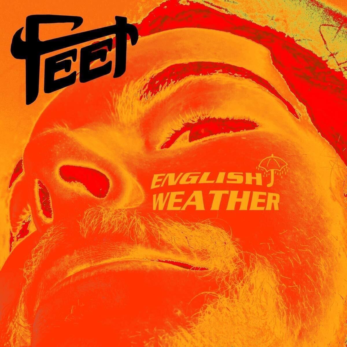 Vinyl Record Feet - English Weather (Picture Disc) (LP)