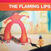 Disque vinyle The Flaming Lips - Yoshimi Battles The Pink Robots (LP)