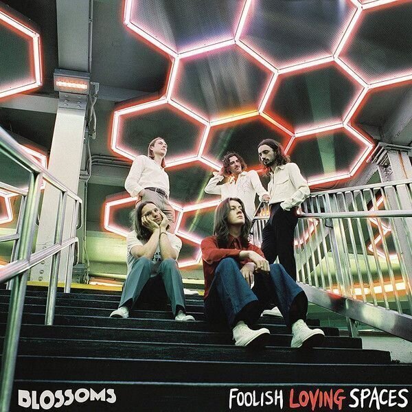 Schallplatte Blossoms - Foolish Loving Spaces (LP)