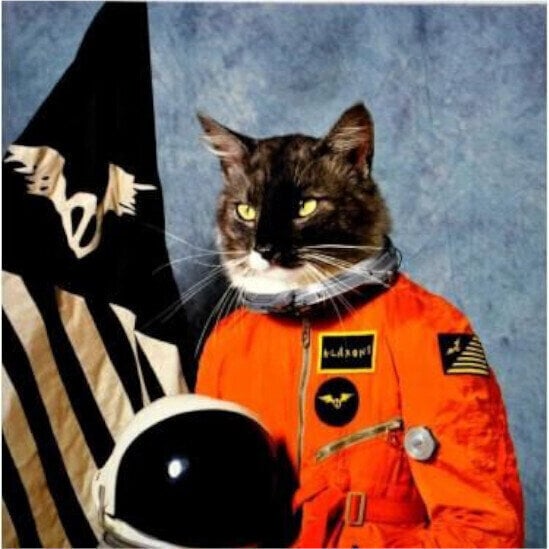 Disque vinyle Klaxons - Surfing The Void (Orange) (Limited Edition) (RSD) (2 LP)