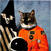 Disque vinyle Klaxons - Surfing The Void (Orange) (Limited Edition) (RSD) (2 LP)