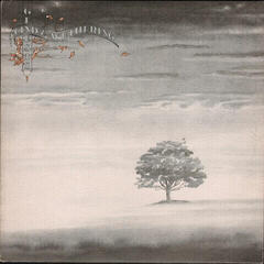 LP ploča Genesis - Wind And Wuthering (Remastered) (LP)