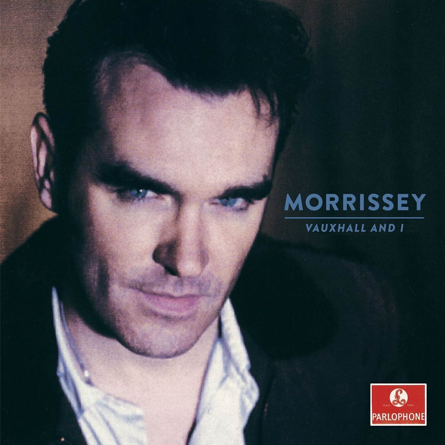 Vinyl Record Morrissey - Vauxhall And I (20th Anniversary Edition) (LP)