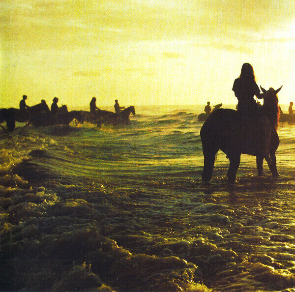 Glasbene CD Foals - Holy Fire (CD)