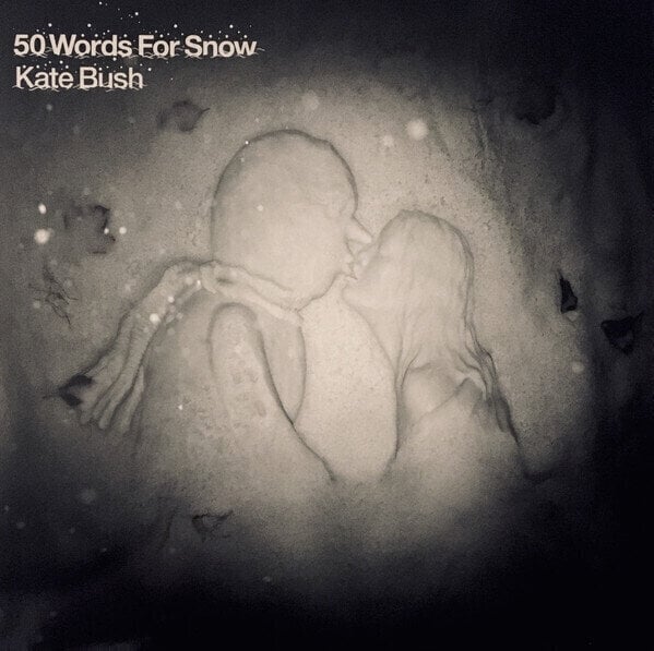 Vinyl Record Kate Bush - 50 Words For Snow (2 LP)